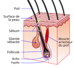 laser acné paris docteur mazer